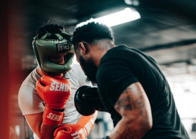 Robot Combat Training Secrets: How Champions Prepare for War